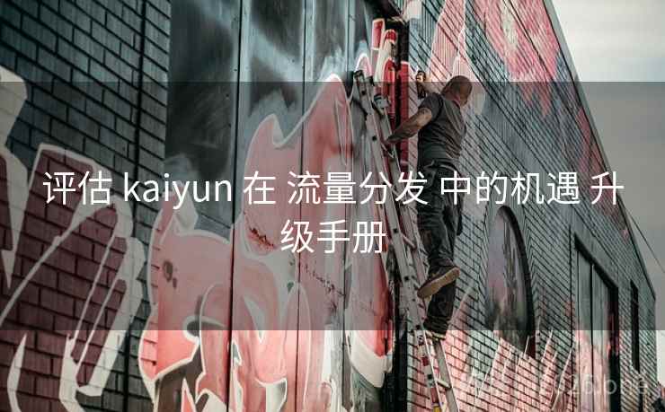 评估 kaiyun 在 流量分发 中的机遇 升级手册