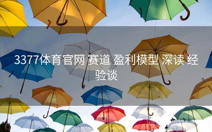 3377体育官网 赛道 盈利模型 深读 经验谈