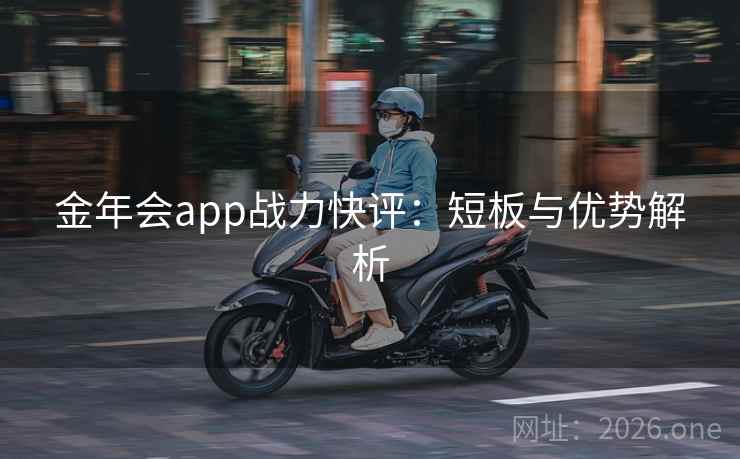 金年会app战力快评：短板与优势解析