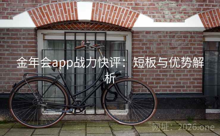 金年会app战力快评：短板与优势解析