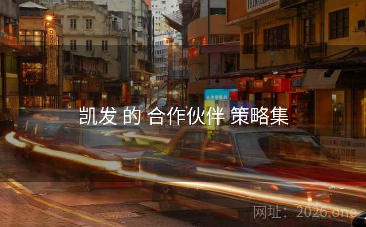 凯发 的 合作伙伴 策略集
