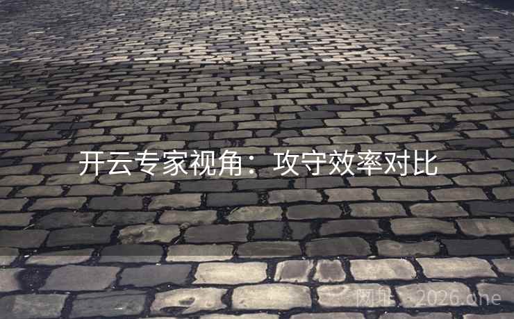 开云专家视角：攻守效率对比