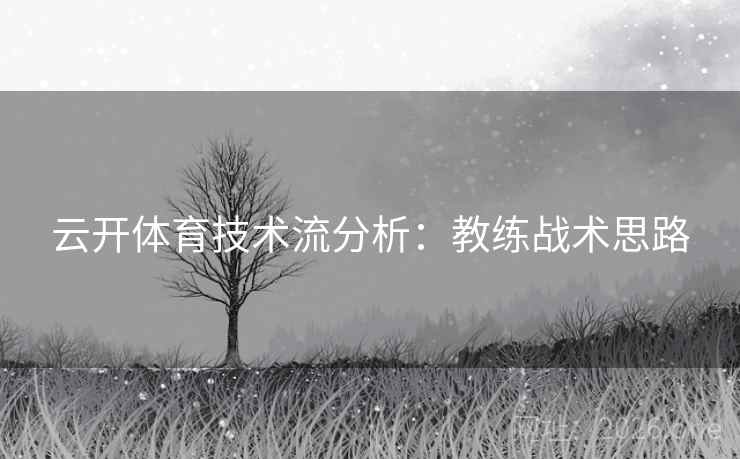 云开体育技术流分析：教练战术思路