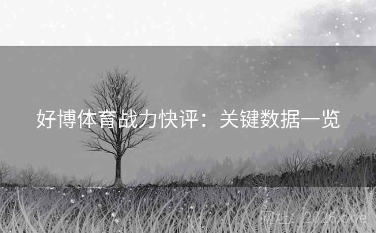 好博体育战力快评：关键数据一览