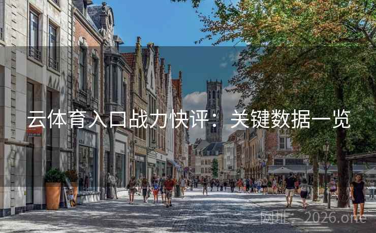 云体育入口战力快评：关键数据一览
