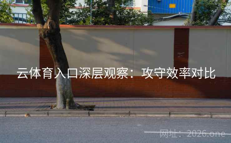 云体育入口深层观察：攻守效率对比