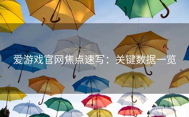 爱游戏官网焦点速写：关键数据一览