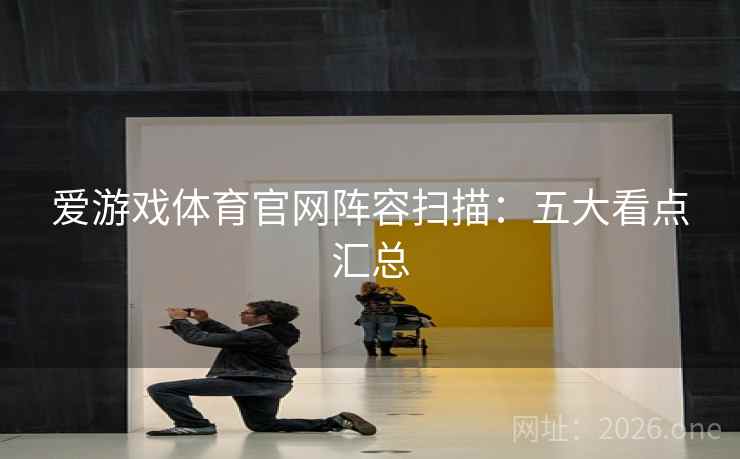爱游戏体育官网阵容扫描：五大看点汇总