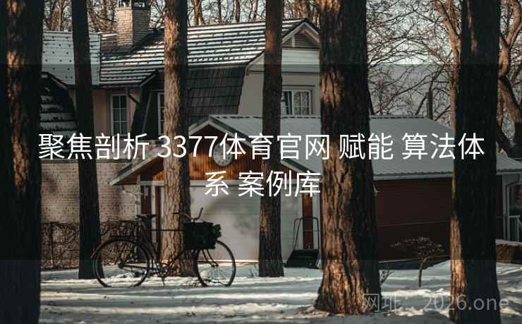 聚焦剖析 3377体育官网 赋能 算法体系 案例库