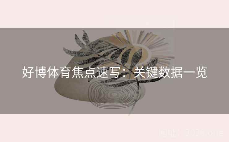好博体育焦点速写：关键数据一览