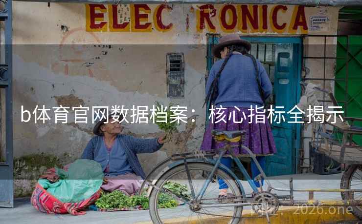 b体育官网数据档案：核心指标全揭示