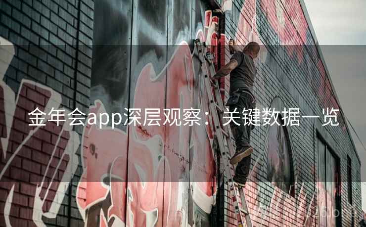 金年会app深层观察：关键数据一览