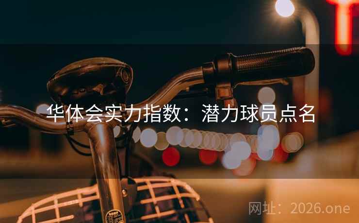 华体会实力指数：潜力球员点名