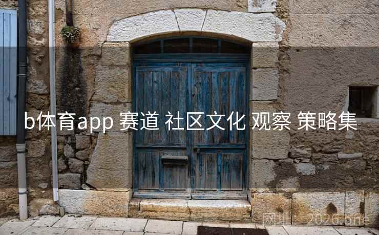 b体育app 赛道 社区文化 观察 策略集