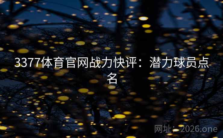 3377体育官网战力快评：潜力球员点名
