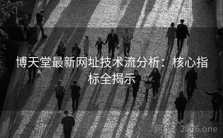 博天堂最新网址技术流分析：核心指标全揭示