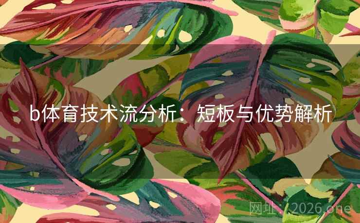 b体育技术流分析：短板与优势解析