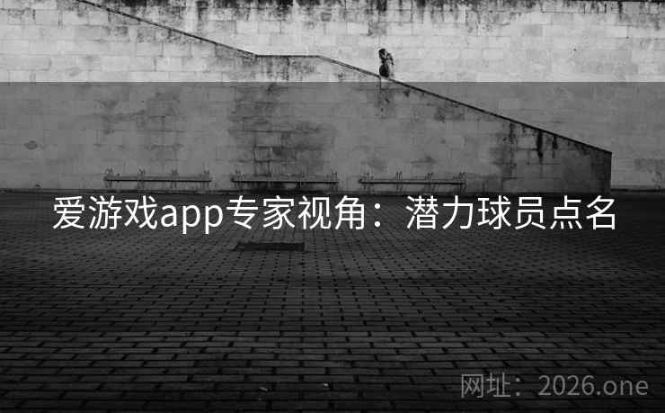 爱游戏app专家视角：潜力球员点名