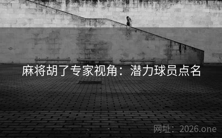 麻将胡了专家视角：潜力球员点名