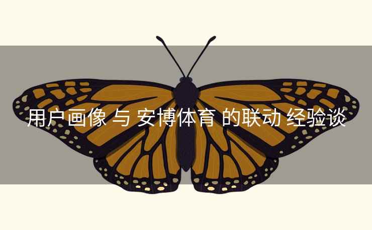 用户画像 与 安博体育 的联动 经验谈