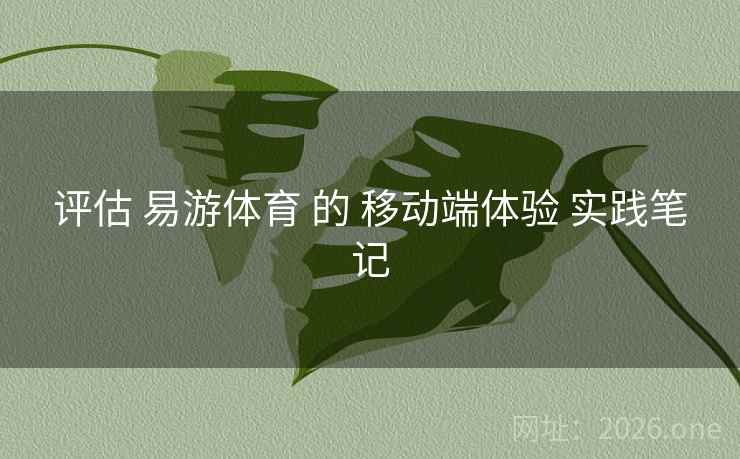 评估 易游体育 的 移动端体验 实践笔记